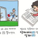 예쁜말바른말 - ‘알토란’과 ‘알짜’/ 서울 양진초 교장 류덕엽 이미지