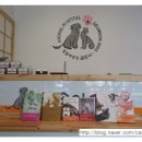 동물제중원금손이 동물병원 이미지