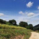 하평농장 이미지