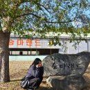 나불도 승마랜드 이미지