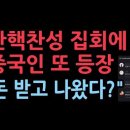 탄핵찬성 집회에 중국인 또 등장 &#34;급여 받고 동원됐나?&#34; 이미지