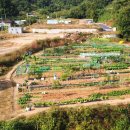 옥산농장 이미지