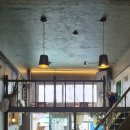 에바다애견 이미지