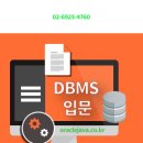 DBMS 입문 이미지