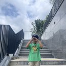 조이재 Daum카페