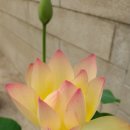 미토의원 이미지