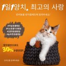 나성펫동물병원 이미지