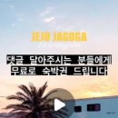 제주 자고가 이미지