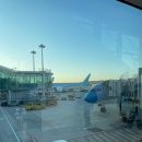 한진세탁소 | 겨울 외투 보관 서비스 5일 무료 보관 서비스 정보 (위치, 운영시간, 운영기간, 무료, 유료 등) 후기