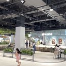 연산트레이더스약국 이미지