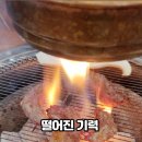 장산로1 이미지