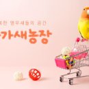 주식회사 리프패럿 네이버블로그