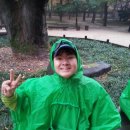 모락초등학교 이미지