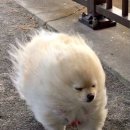 예스투어 이미지