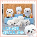 엔젤문구마켓 | [성수] 나가노마켓 치이카와 전체 상품 목록 / 치이카와샵과 다른점 / 평일 오후 방문후기