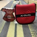 진주 골프샵 오디세이 S2S AI DUAL 브룸스틱 퍼터 시타 후기
