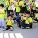 해냄스포츠클럽 차돌합기도 이미지