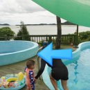 솔빛예쁜펜션 | 안면도펜션 솔빛리조트 프리미엄202호