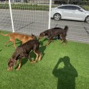 칸 트레이닝 센터 이미지