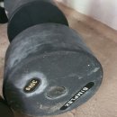 28kg 아령 30kg 아령 판매합니다 일괄10만 이미지