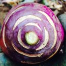 서귀포운수(주)협동노동조합 | [펀딩 그후] 제주워킹홀리데이 #1탄 월령리편 따끈한 후기!