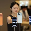 대조-008 이미지