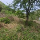 새자연공인중개사사무소 이미지