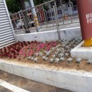 신평1동-6 이미지