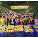 의성꽃화원 이미지