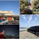 고지주유소 | 제주도 렌트카 여행 퀄리티를 바꿔준 퍼시픽 렌터카 이용 후기