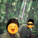 (주)딜라이트 | 담양 가볼 만한 곳. 실내 데이트 강추! 감성 폭발 미디어아트 '딜라이트 담양' 솔직 후기!