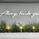 자몽호스텔 이미지