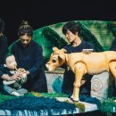 내 친구 송아지 이미지