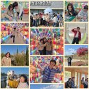 2025년 11월 하늘정원 이야기 이미지