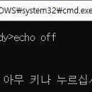 ECHO 이미지