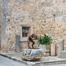 사(SA) | [스페인🇪🇸] 마요르카 빵집 사 프리네라 빵집 Sa Frinera🥨