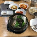 5일 배아 중하급 단태아 이식 후기 결과 증상 식단 극초기 증상 1차 2차 피검사 낮은 수치 일산 차병원...