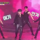 트롯 쇼쇼쇼 네이버블로그
