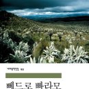 글잡이 | Pedro Páramo(1955) / 뻬드로 빠라모