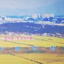 성덕회포차