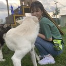 유정이네 이미지