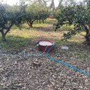 표선가시리민박 이미지