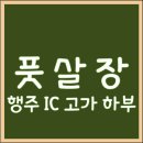 장산IC 고가하부 체육시설 게이트볼장 | [방문 후기] 풋살장/일산 풋살장/행주 IC 고가 하부