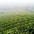 남도카써비스 이미지