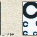 H2355 네이버블로그
