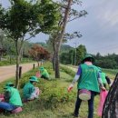 새마을기념비 이미지