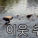 서초1동 주민센터 이미지