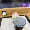 2024년 음악이 있는 유성산책 버스킹 | 반려 뜨개와 함께한 후쿠오카 혼여 기록🧶