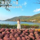 송해공원 제1주차장 | 대구 가을꽃구경 가볼만한곳 옥연지 송해공원 국화축제 주차장 둘레길