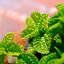 구립직업재활센터 이미지